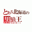 とある北海道の黒狼王（屯田中央１４）