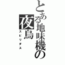 とある地味機の夜烏（スピリダス）