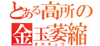 とある高所の金玉萎縮（タマキュウ）