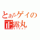 とあるゲイの正露丸（セイロガン）