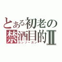 とある初老の禁酒目的Ⅱ（カンゾーガン）