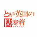 とある英国の防寒着（カーディガン）