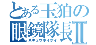 とある玉狛の眼鏡隊長Ⅱ（Ａキュウホイホイ）