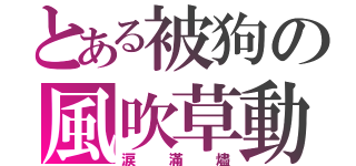 とある被狗の風吹草動（涙滿燼）