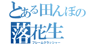 とある田んぼの落花生（フレームクラッシャー）