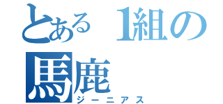 とある１組の馬鹿（ジーニアス）