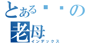 とある屌你の老母（インデックス）