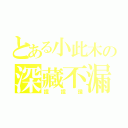 とある小此木の深藏不漏（捏捏讚）