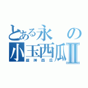 とある永の小玉西瓜Ⅱ（超神西瓜）