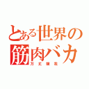 とある世界の筋肉バカ（万丈龍我）