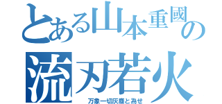 とある山本重國の流刃若火（　　万象一切灰塵と為せ）