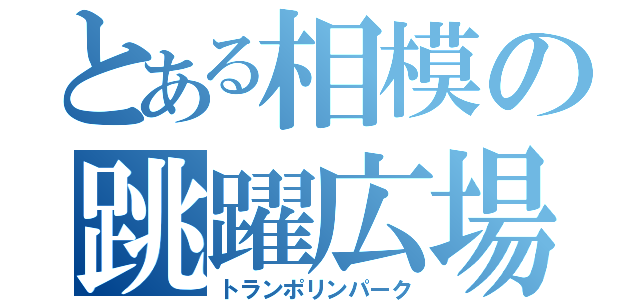 とある相模の跳躍広場（トランポリンパーク）