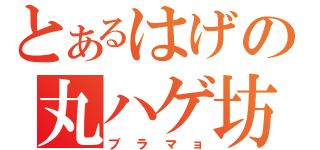 とあるはげの丸ハゲ坊主（ブラマョ）