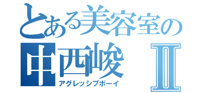 とある美容室の中西峻Ⅱ（アグレッシブボーイ）