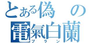 とある偽の電氣白蘭（ブラン）