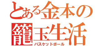 とある金本の籠玉生活（バスケットボール）