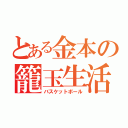 とある金本の籠玉生活（バスケットボール）