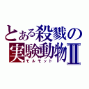 とある殺戮の実験動物Ⅱ（モルモット）