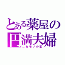 とある薬屋の円満夫婦（ニセモノの恋）