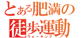 とある肥満の徒歩運動（ウォーキング）