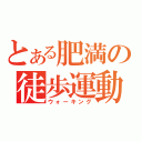 とある肥満の徒歩運動（ウォーキング）