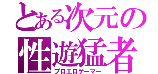 とある次元の性遊猛者（プロエロゲーマー）