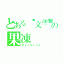 とある溫文儒雅の果凍（Ｐｒｏｍｉｓｅ）