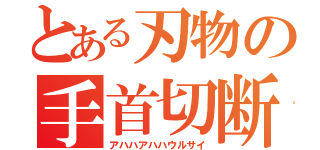 とある刃物の手首切断（アハハアハハウルサイ）