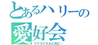 とあるハリーの愛好会（マクゴナガルと共に…）