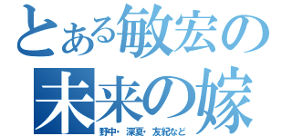 とある敏宏の未来の嫁（野中・深夏・友紀など）