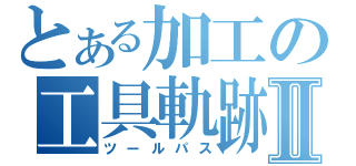 とある加工の工具軌跡Ⅱ（ツールパス）