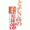 とあるＮ高の柔庭球部（ソフトテニス）