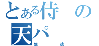 とある侍の天パ（銀魂）