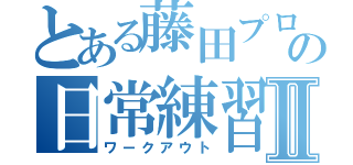 とある藤田プロ（仮）の日常練習Ⅱ（ワークアウト）