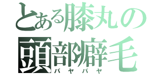 とある膝丸の頭部癖毛（パヤパヤ）