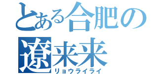 とある合肥の遼来来（リョウライライ）