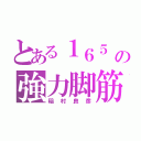 とある１６５　の強力脚筋（稲村良彦）