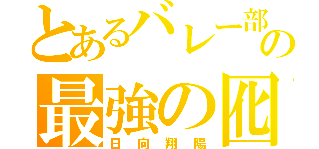 とあるバレー部の最強の囮（日向翔陽）