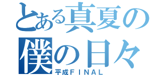 とある真夏の僕の日々（平成ＦＩＮＡＬ）