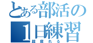 とある部活の１日練習（超疲れる）