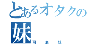 とあるオタクの妹（可哀想）