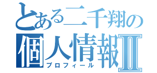 とある二千翔の個人情報Ⅱ（プロフィール）