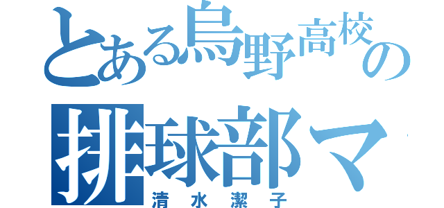 とある烏野高校の排球部マネ（清水潔子）