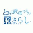 とある武蔵弓道の恥さらし（正木ゴリラ）