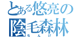 とある悠亮の陰毛森林（ちんげ）