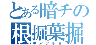 とある暗チの根掘葉掘（ギアッチョ）