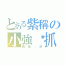 とある紫稱の小強嘎抓（稱號嘎抓）