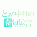 とある中村の奇知伝言（カオスメール）