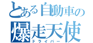 とある自動車の爆走天使（ドライバー）