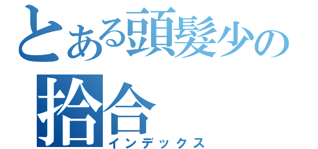 とある頭髮少の拾合（インデックス）